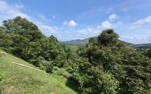 1.06 acre Karak Seri Telemong Orchard Height Durian Land For Sale