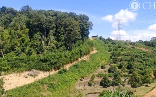 1.14 acres Raub near P.P Putra Development Land For Sale