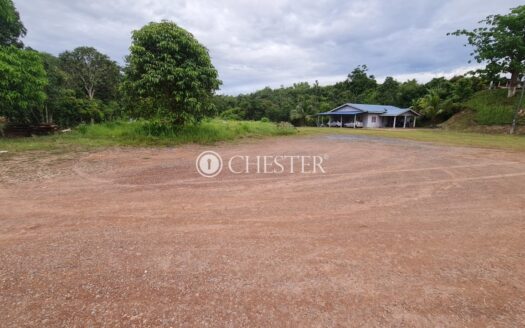 1.3 acres Mentakab (Facing Main Road) Commercial Land for Sale