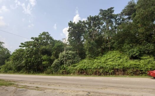 1.5 acres Bentong Batu 2.5 Zooming Commercial Land for Sale