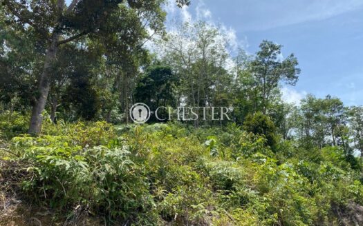 13 acres Karak (Batu 18) Vacant + Rubber Land for Sale