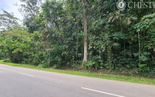 14.75 acres Karak Kg Cinta Manis (Facing main road) Vacant Land for Sale