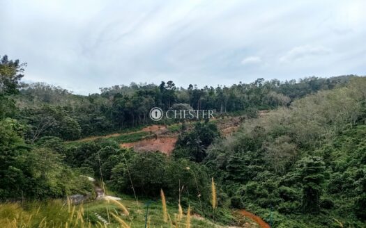 16.563 acres Bentong Agri Land for Sale