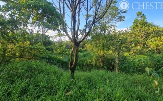 2.3 acres Karak Kg Lengkong Vacant Land for Sale