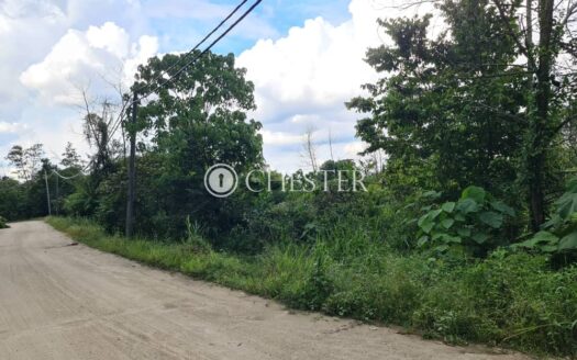 20 acres Karak (Taman Karak) Zooming Residential Land For Sales