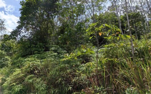 22 acres Bentong (Acasia Retreat) Rubber Land for Sale