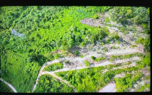 3 acres Karak (Jambu Rias) Vacant Land For Sale