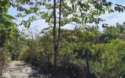 4.5 acres Karak Kg Cinta Manis (Sertik) Vacant Land for Sales