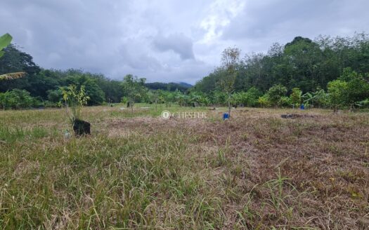 4 acres Karak (Behind Tamil School) Vacant Land for Sale