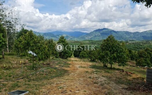 4 acres Raub Sg Ruan MK Durian Land For Sale