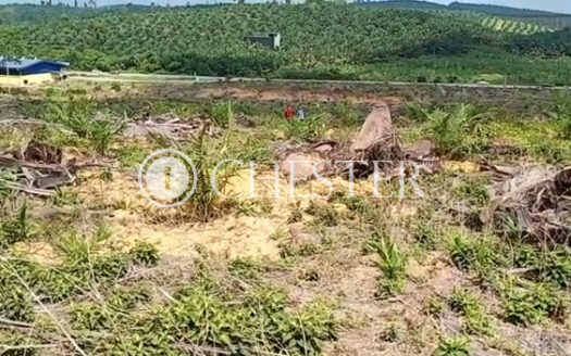 45 ac Sri Jaya Facing Main Road Oil Palm Land For Sale