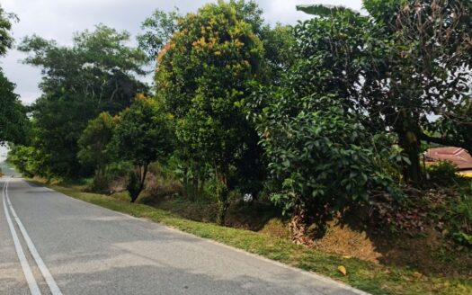 5.512 acres Bentong (Old Road – Main Town) Residential Land For Sale