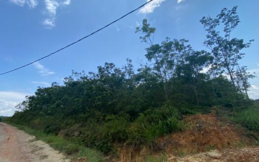 5.9 acres Karak (Kg Sertik) Rubber Land For Sale