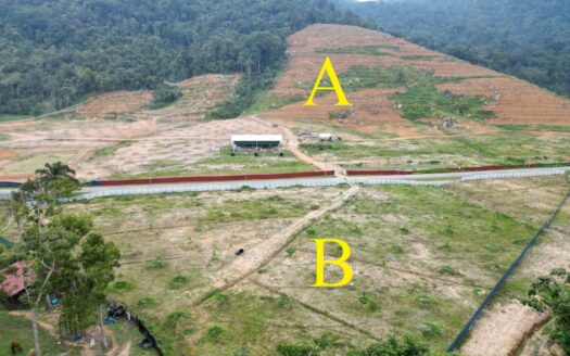 58 acres Kuala Pilah Agri Land For Sale