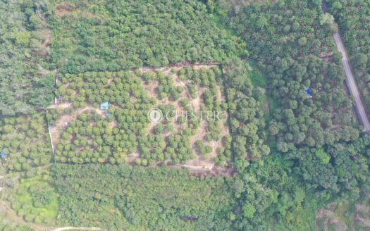 5ac Raub Sg Ruan Matured MK Durian Land For Sale