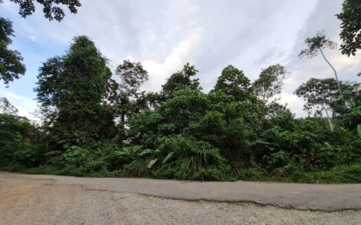 6.352 acres Karak Sg Dua (Facing TAR Road) Vacant Land For Sale