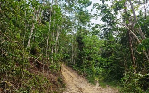 6.55 acres Karak-Lanchang Toll Rubber Land for Sale