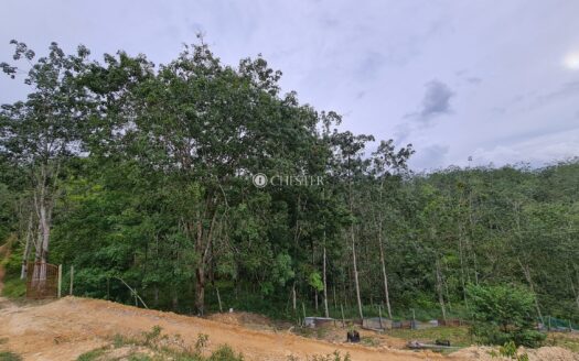 6 acres Karak (Jambu Rias) Rubber Land For Sale