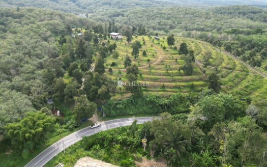 6 acres Karak Sg Pertak Batu 23 Durian Land For Sale