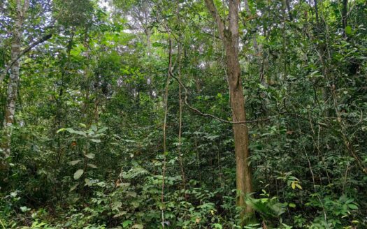 7.8 acres Karak Kg Lengkong Rubber Land For Sale