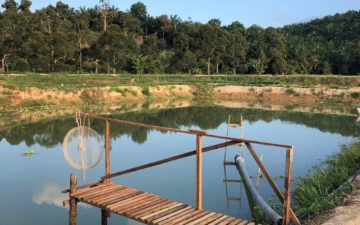 7.9 acres Raub Sg.Klau Fish Ponds and Agri Land For Sale