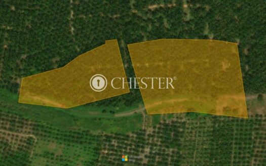 7 acres Johor Batu Pahat Oil Palm Land For Sale