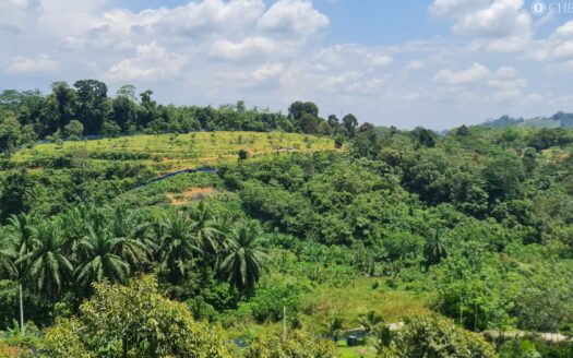 8.6 acres Raub Gali Durian Land For Sale