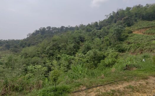 8.675 acres Karak (Behind Tamil School) Vacant Land For Sale