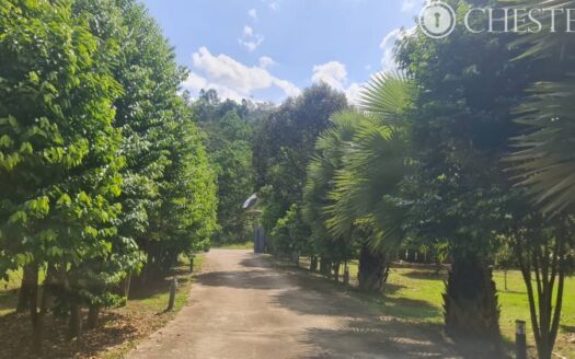 8.9 acres Bentong Old Road Resort Land for Sale