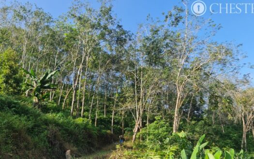 8.903 acres Karak Sg Dua Rubber Land for Sale