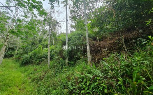 9 acres Bentong Rubber Land for Sale