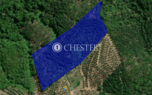 Land price Drop! 8.8 acres Kuala Lipis Rubber Land for Sale