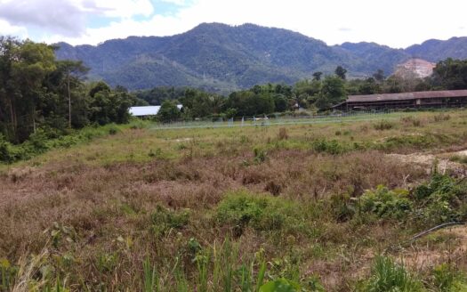 LIMITED LAND 1 ac Bentong Development Land For Sale