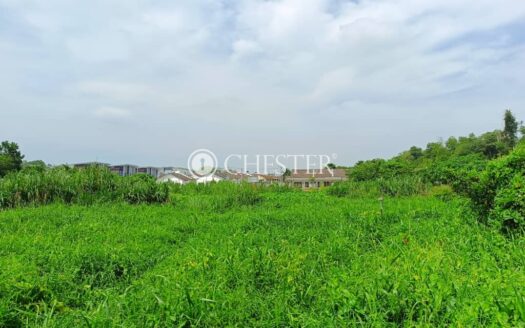 RM 600K CASH N CARRY‼️ 1ac Mentakab Development Land For Sale