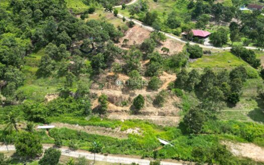 1.04 acre Karak Seri Telemong Orchard Height Mk Durian Land For Sale