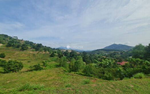 1.07 acre Karak Seri Telemong Orchard Height Mk Durian Land For Sale