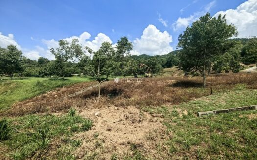 1.1 acre Durian & Homestead Land (Karak Seri Telemong Orchard Height) For Sale