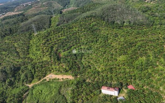 26 acres Lipis Oil Palm Land for Sale