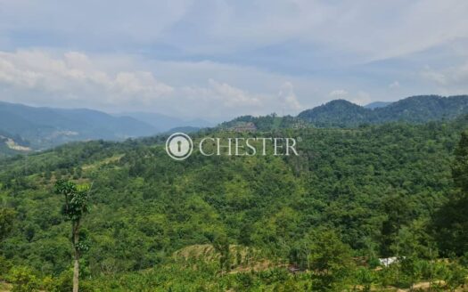 4.9 acres Bentong Old Road Rubber Land for Sale