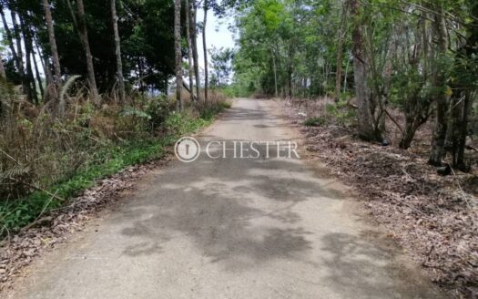 7.3 acres Raub (Bukit Tampol) Rubber Land for Sale