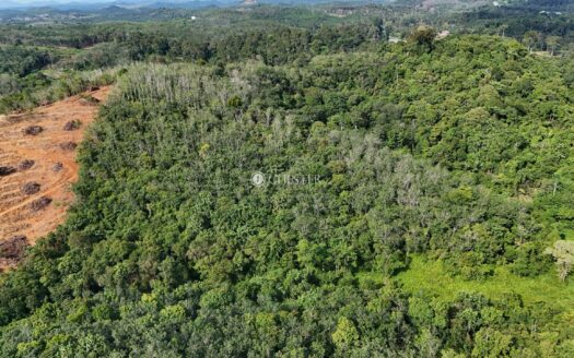 Land Prices Drop ! Urgent! 7 acres Raub Rubber Land for Sale