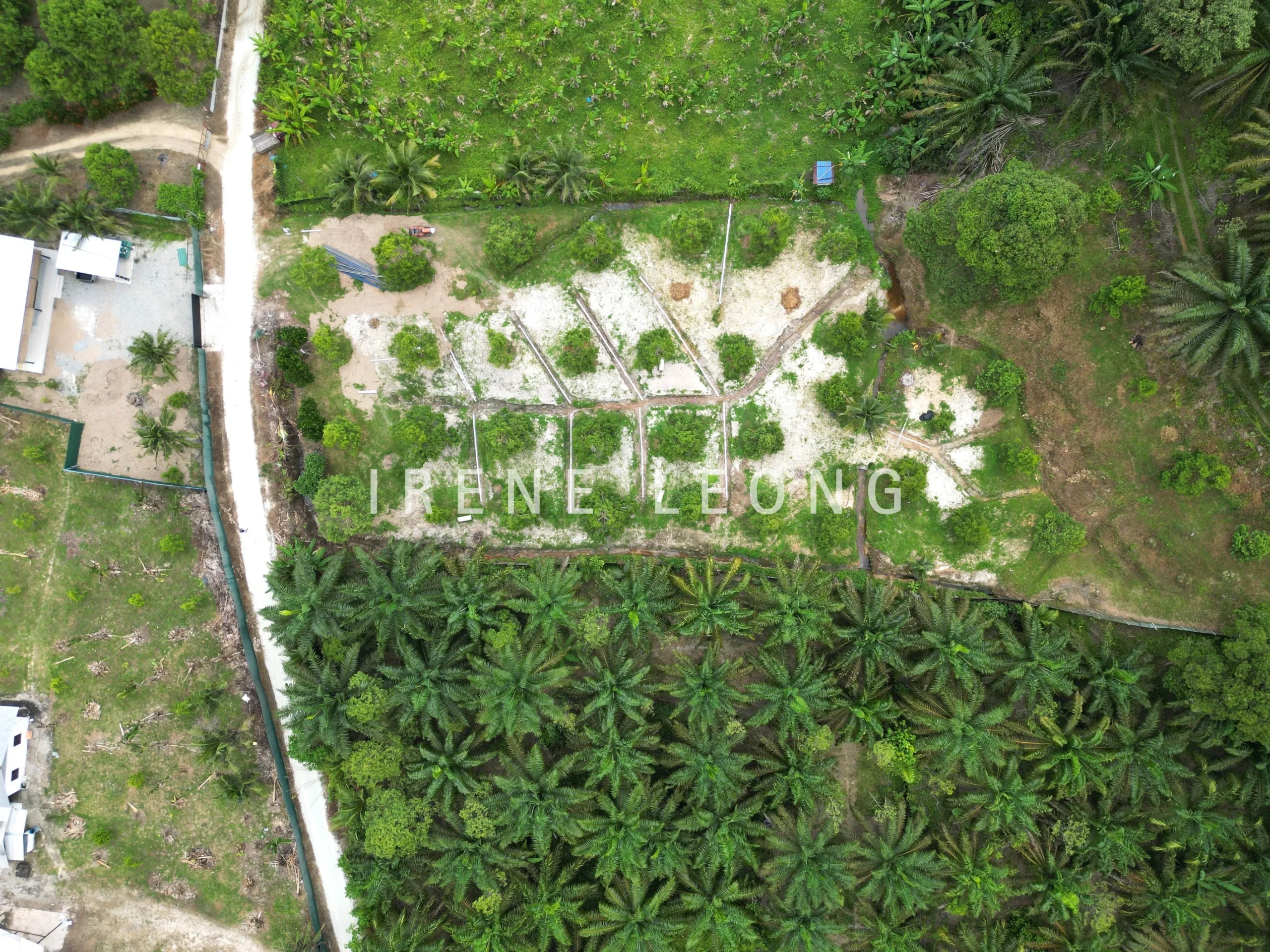 DJI_0091-CompressJPG
