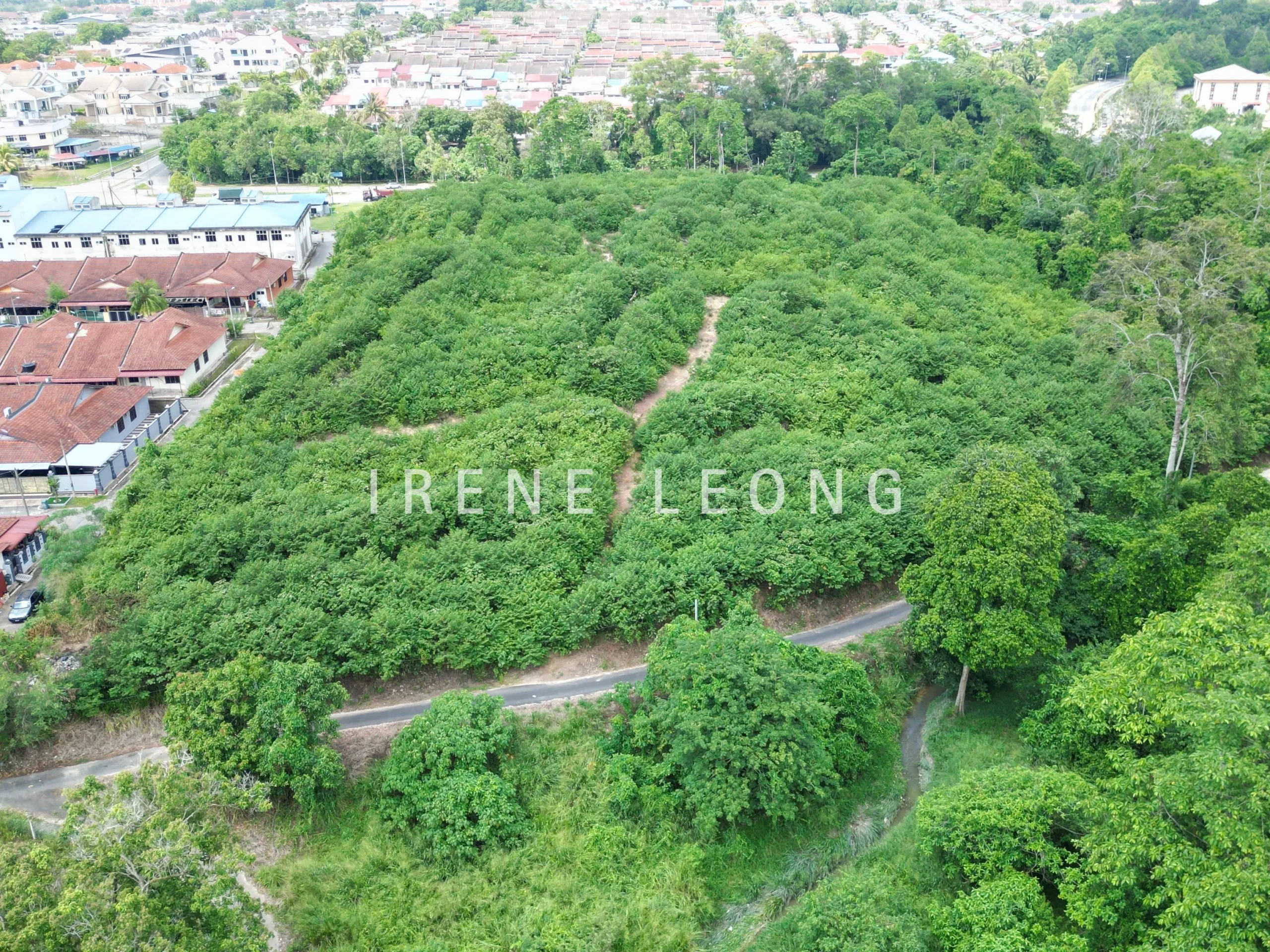 DJI_0096_cropped