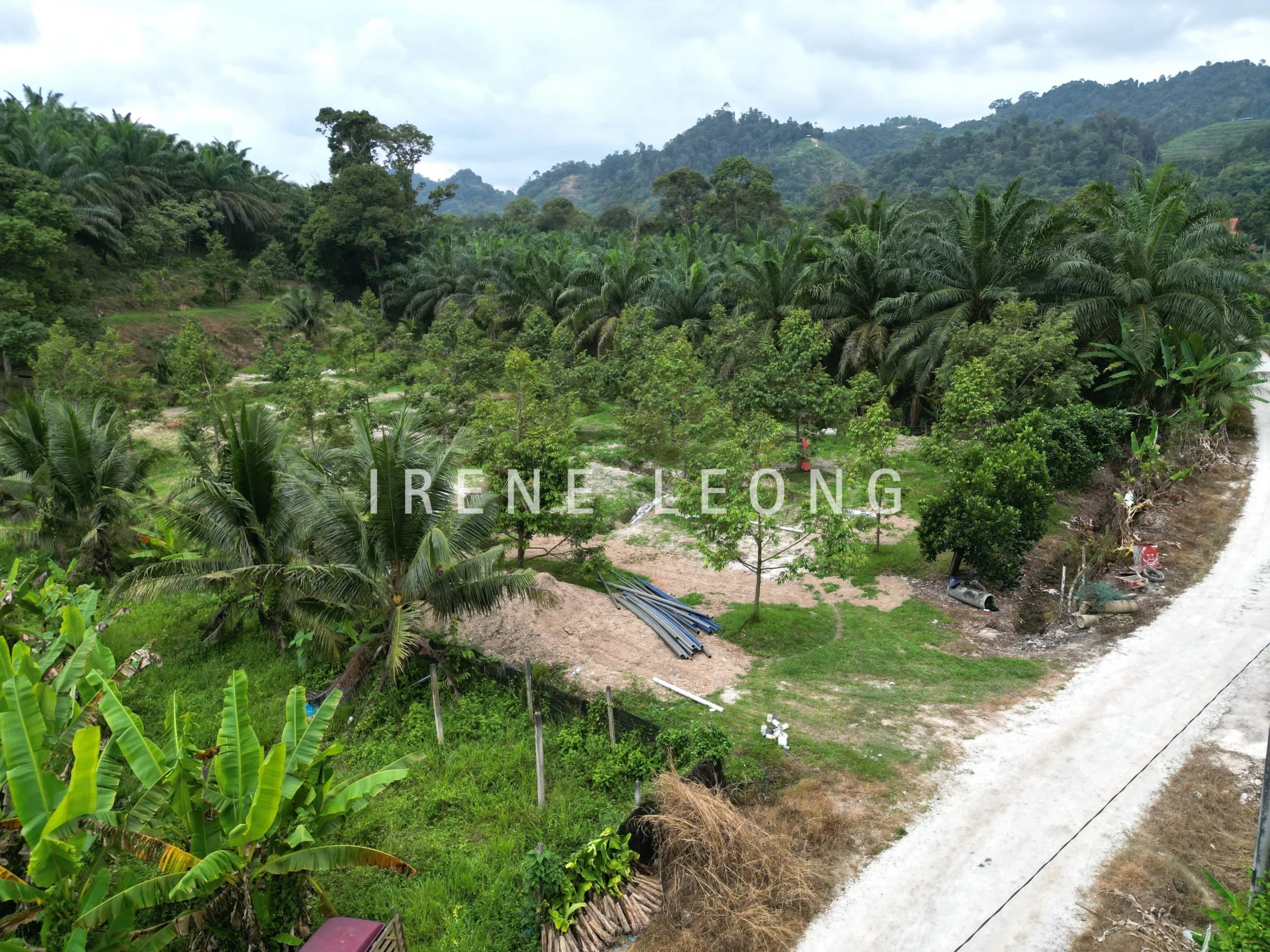 DJI_0097-CompressJPG
