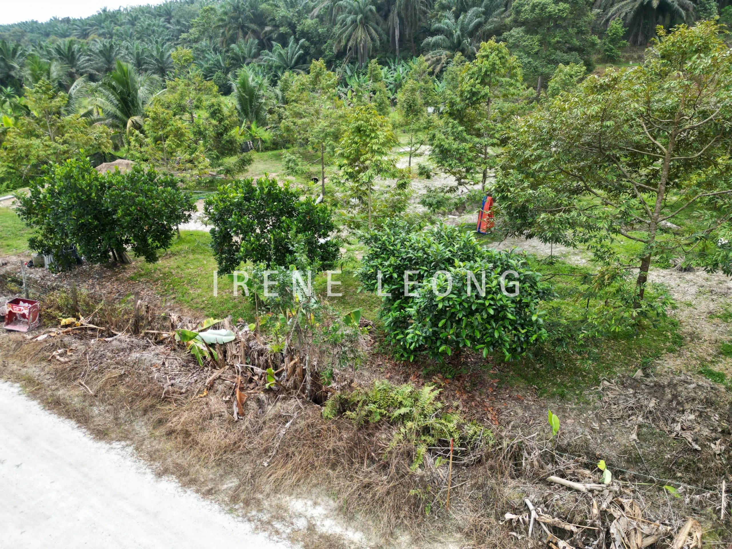 DJI_0099-CompressJPG