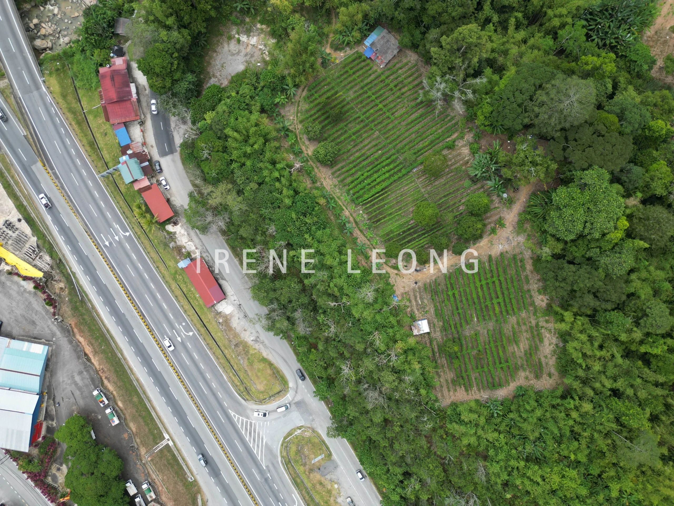 DJI_0130-CompressJPG