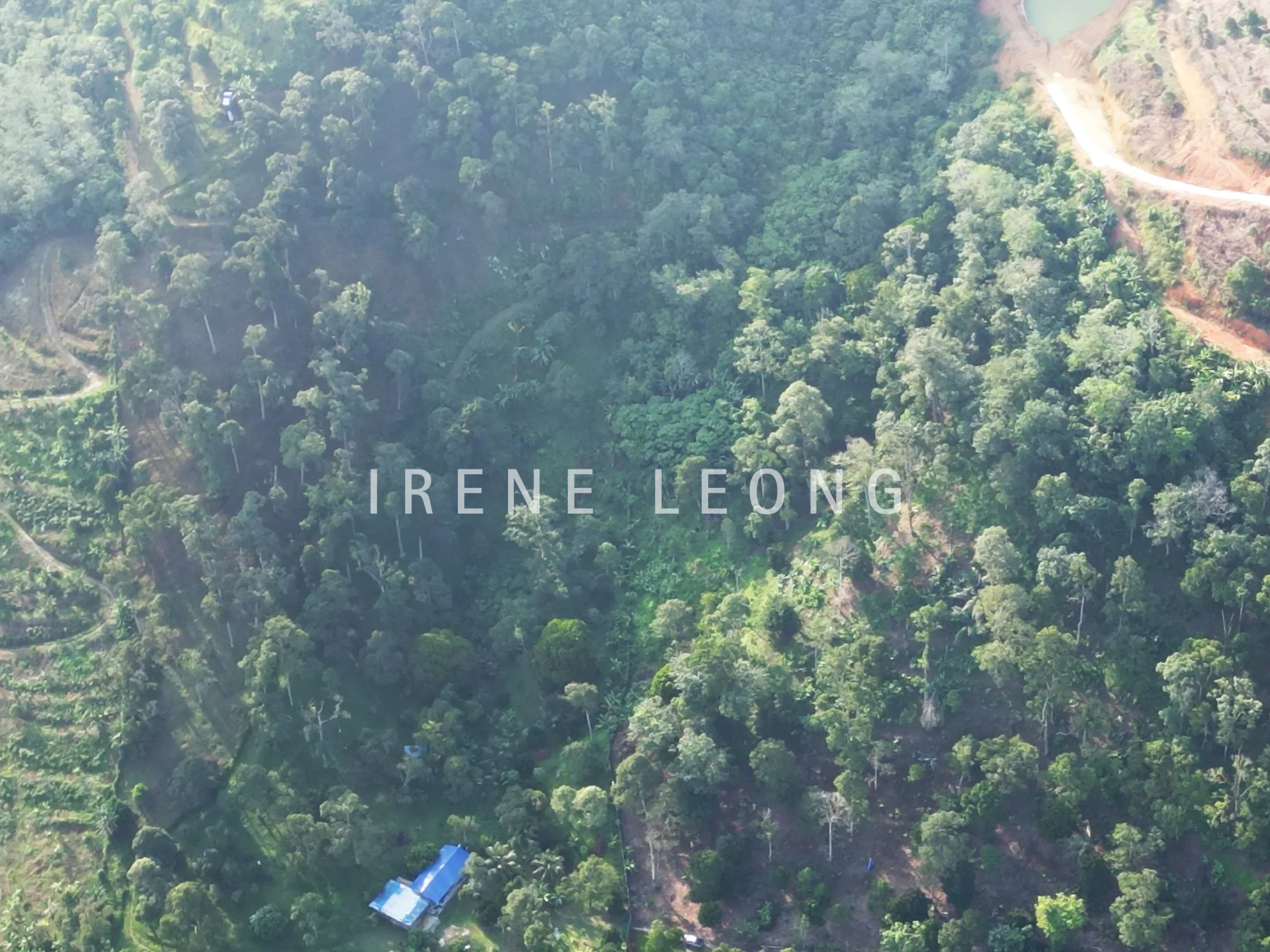 DJI_0241-
