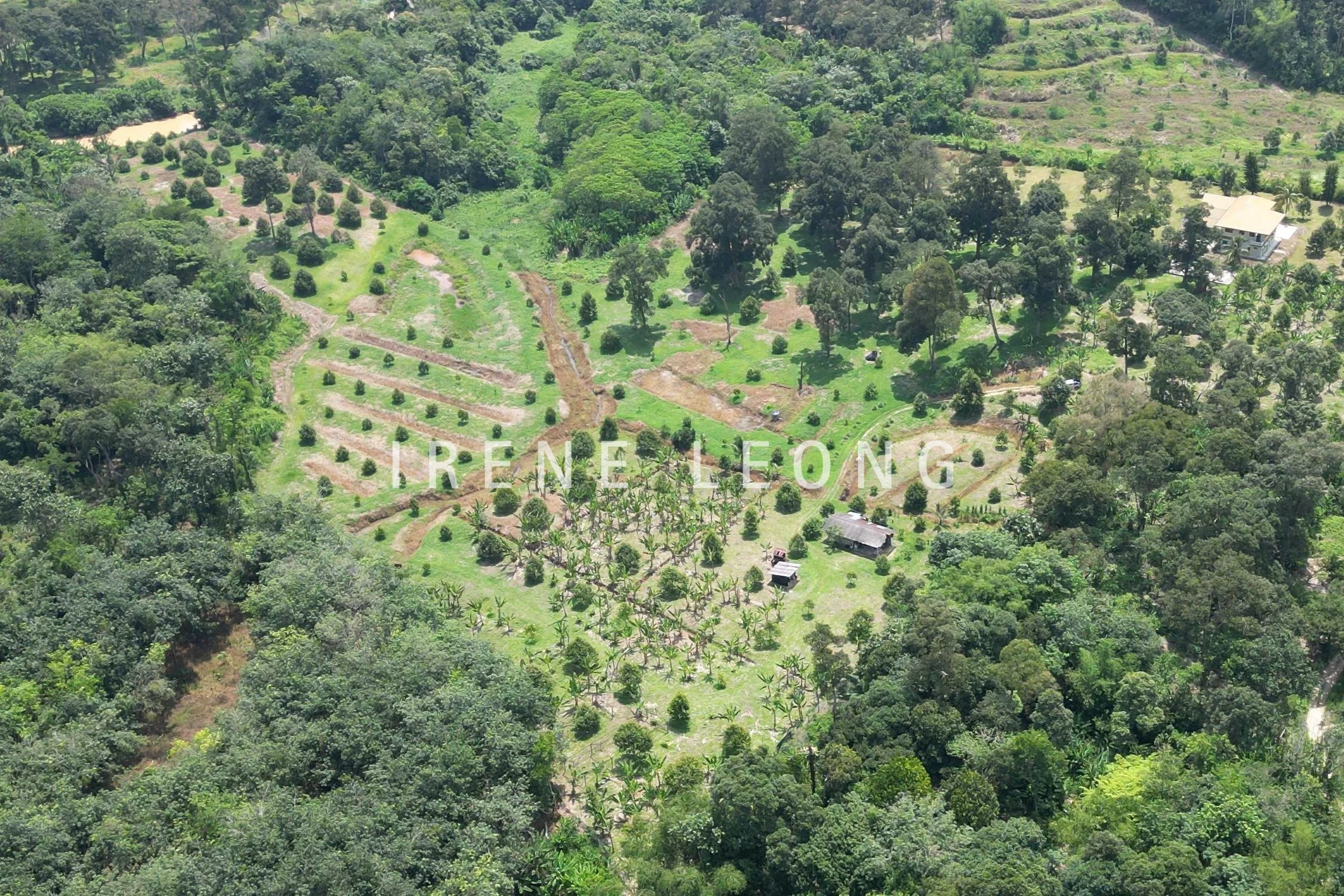 DJI_0287-crushimage