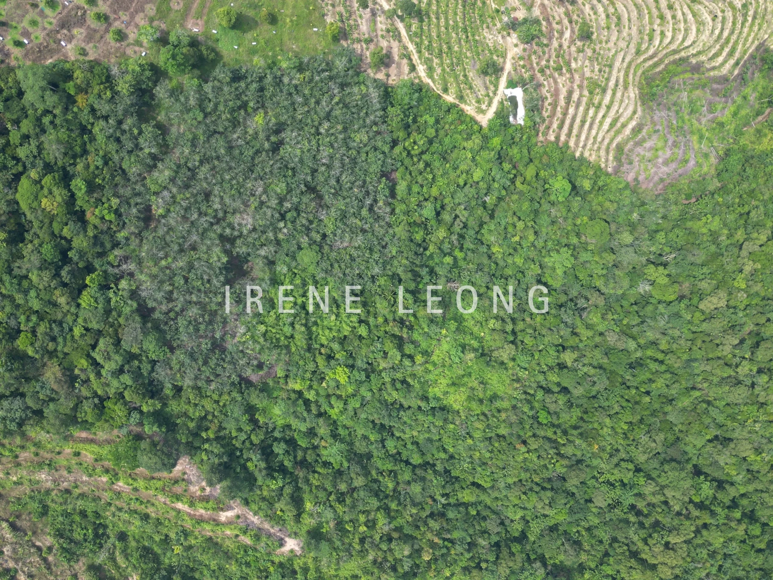 DJI_0302_cropped