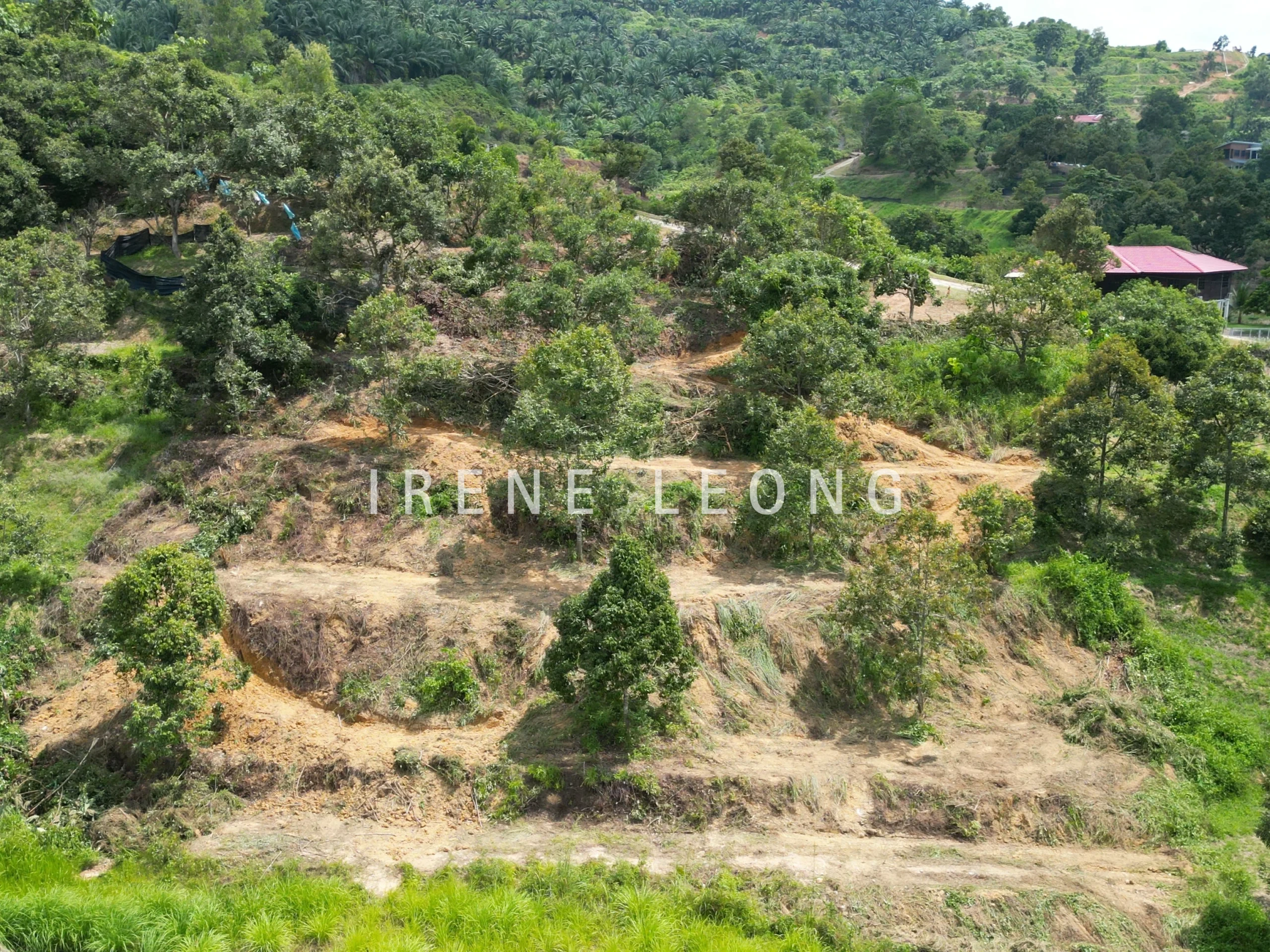 DJI_0368